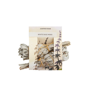 California White Sage