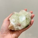 Apophyllite cluster (AP-008)